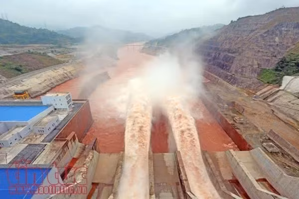 19-thuydien.jpg
