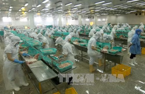 Việt Nam, nền kinh tế mới nổi tăng trưởng nhanh ảnh 1