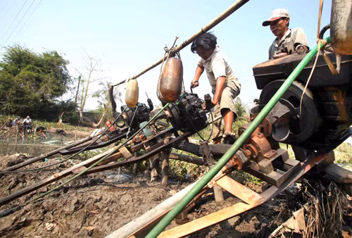 Bảo vệ vùng trồng cây ăn quả đặc sản trước hạn, mặn ảnh 1