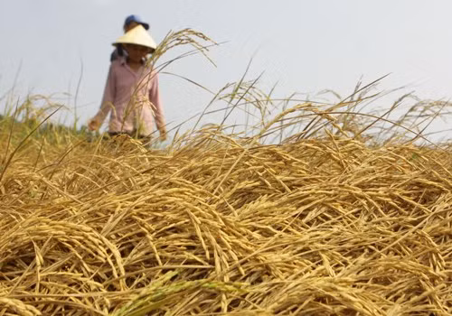 Đối mặt với tương lai: Nóng hơn, khô hơn, mưa lũ nhiều hơn ảnh 1