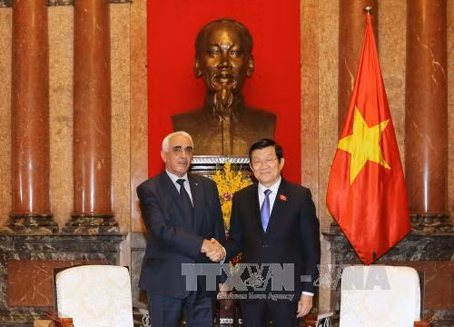 Chủ tịch nước tiếp Chánh án thứ nhất Tòa án tối cao Algeria ảnh 1