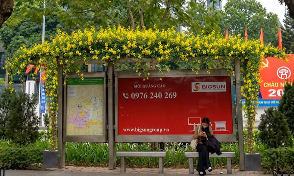 Hà Nội phủ kín cây xanh trụ metro, hầm chui, cầu vượt