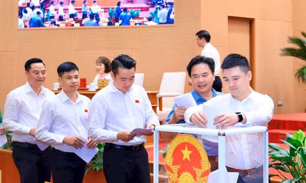 HĐND TP Hà Nội thông qua Nghị quyết, trao quyền cho đơn vị sự nghiệp công lập có năng lực tự chủ.