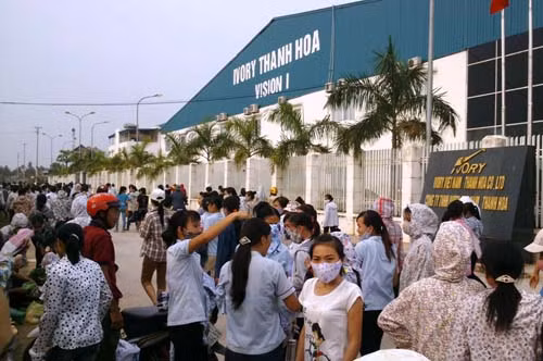 Hơn 1.000 công nhân may đình công đã đi làm ảnh 1