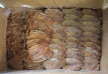 Phát hiện 1,5 tấn mực khô không nguồn gốc ảnh 1
