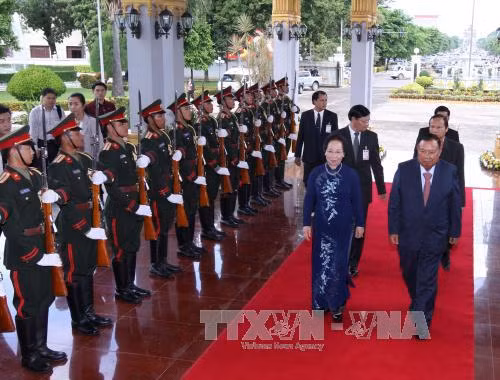 Phó Chủ tịch nước Nguyễn Thị Doan thăm chính thức Lào ảnh 1