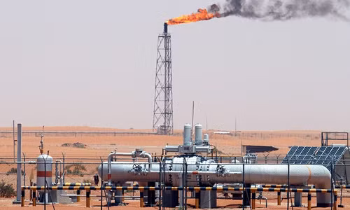 Cuộc chiến dầu mỏ Saudi Arabia-Nga bắt đầu? ảnh 2