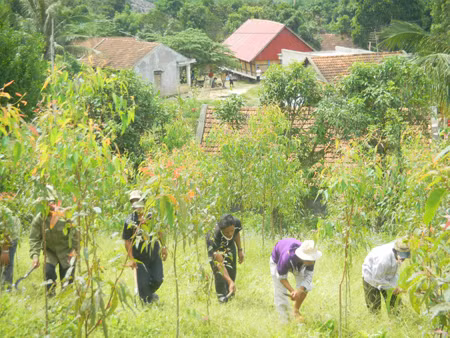 Công ty lâm nghiệp đa chức năng ảnh 1