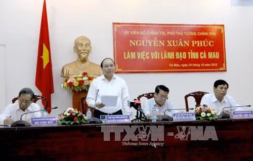 Cà Mau cần chủ động thực hiện tái cơ cấu kinh tế ảnh 1