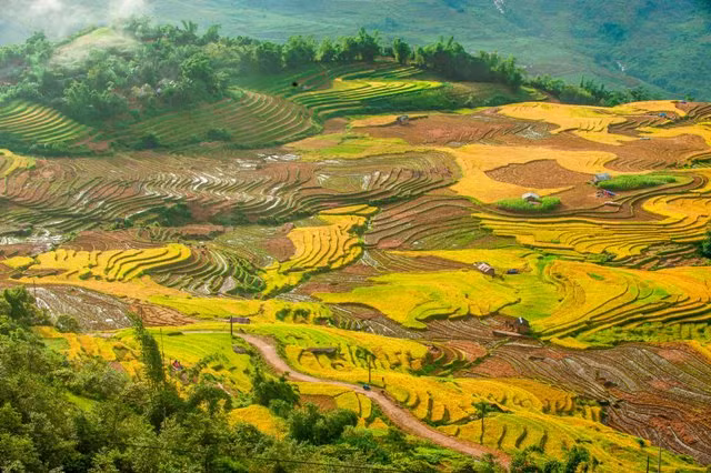 “Thiên đường ruộng bậc thang” Y Tý ảnh 5