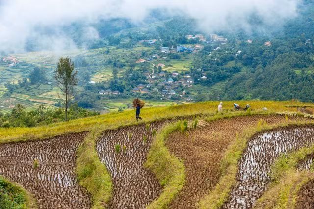 “Thiên đường ruộng bậc thang” Y Tý ảnh 2