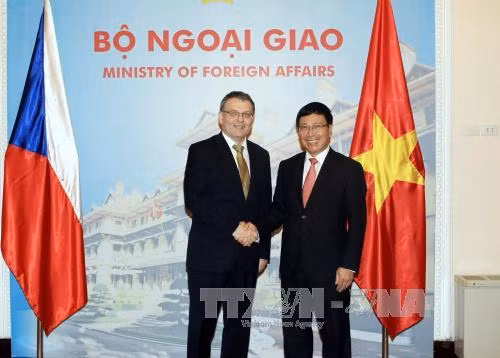 Phó Thủ tướng Phạm Bình Minh hội đàm với Ngoại trưởng Séc ảnh 1