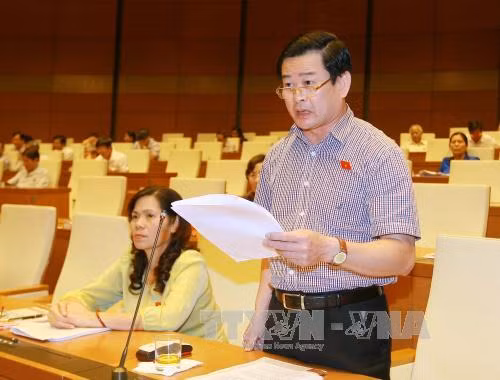 Đánh giá sâu tồn tại, tìm giải pháp phát triển bền vững ảnh 1