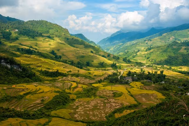 “Thiên đường ruộng bậc thang” Y Tý ảnh 1