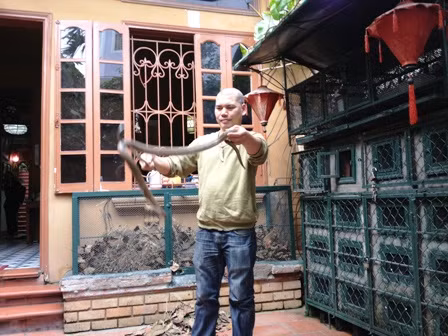 Đầu năm Tỵ đến thăm làng rắn Lệ Mật ảnh 8