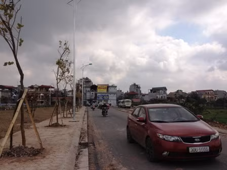 Đầu năm Tỵ đến thăm làng rắn Lệ Mật ảnh 3