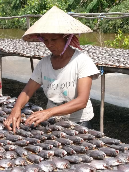 Mùa Tết, mùa cá bổi lên ngôi ảnh 7