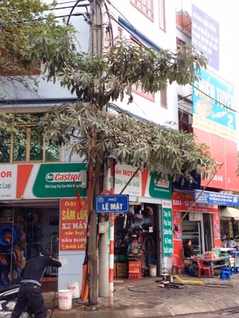 Đầu năm Tỵ đến thăm làng rắn Lệ Mật ảnh 4