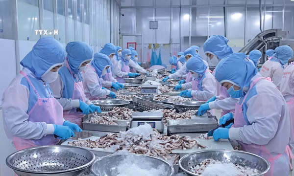 Tăng tốc hoàn thành mục tiêu xuất khẩu nông lâm thủy sản