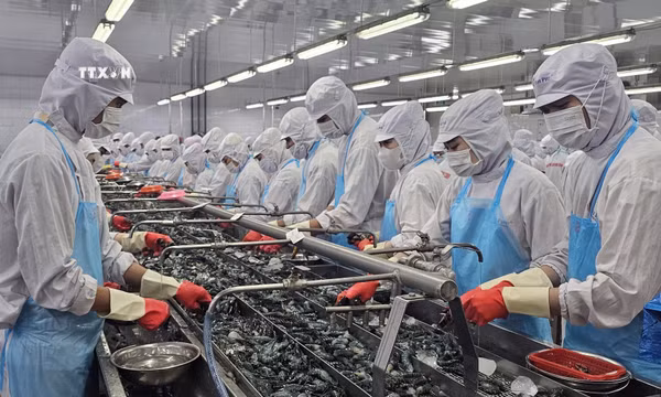 Mở rộng hợp tác công nghệ từ nền tảng Hiệp định VIFTA
