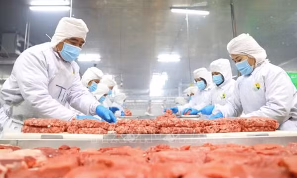 Tận dụng lợi thế CEPA, mở đường cho nông sản Việt vào UAE