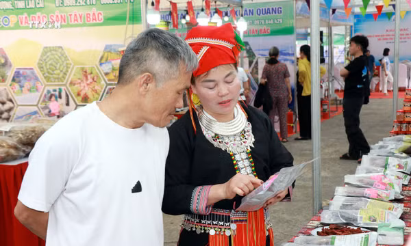Khoa học công nghệ mở hướng nâng giá trị sản vật vùng cao