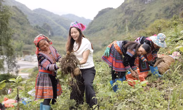 Thương mại điện tử mở rộng thị trường cho sản vật vùng cao