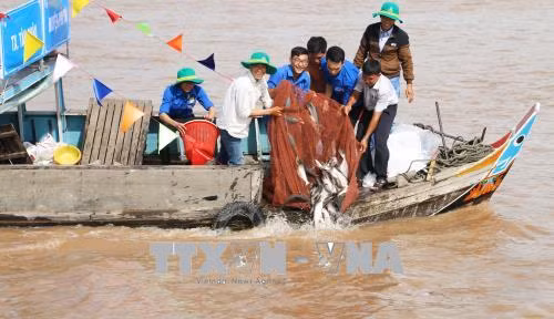 Chú thích ảnh