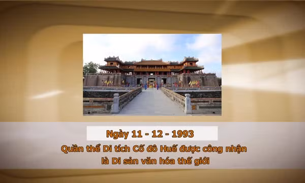 Khoảnh khắc & sự kiện ngày 11/12