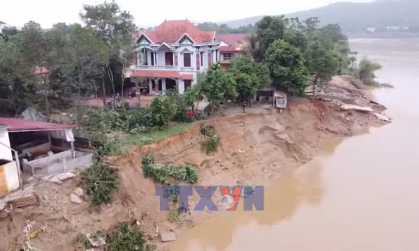 Yêu cầu xử lý khẩn cấp sự cố sạt lở bờ sông Lô