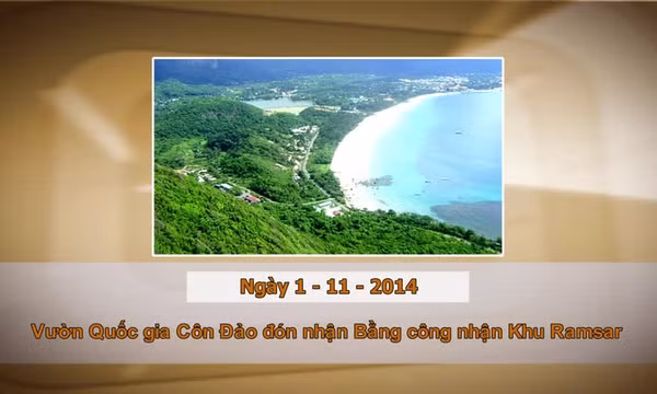 Khoảnh khắc & sự kiện ngày 1/11