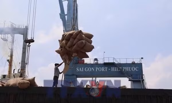 Giải pháp bảo toàn 8 tỷ USD nông sản xuất khẩu do xung đột Trung Đông