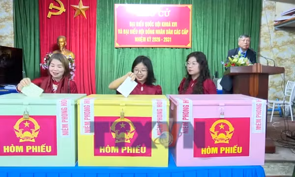 Nô nức ngày hội non sông nơi cửa biển