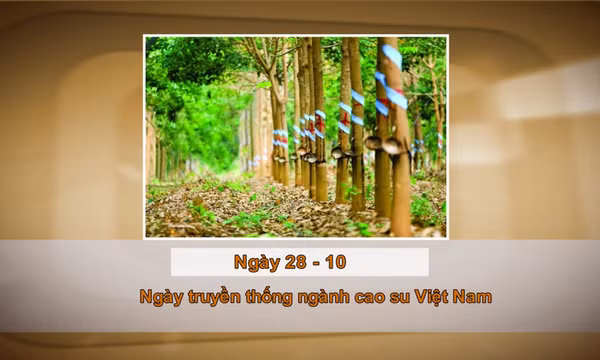Khoảnh khắc & sự kiện ngày 28/10