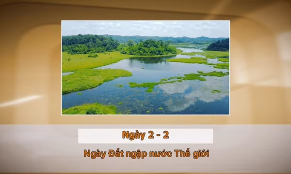 Khoảnh khắc và Sự kiện ngày 2/2