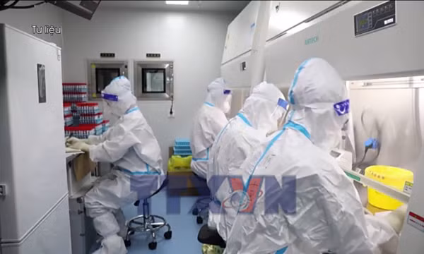 Theo dõi chặt chẽ biến thể 've sầu' của virus SASR-CoV-2