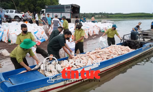 Tin nóng trong nước sáng 1/6/2026