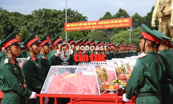 Tin nóng trong nước sáng 23/6/2026