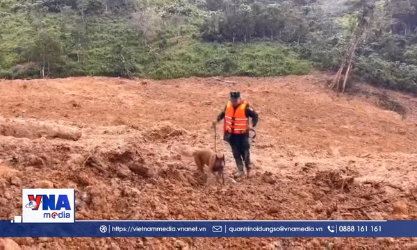 Huy động cảnh khuyển tìm kiếm các nạn nhân nghi mất tích do sạt lở 