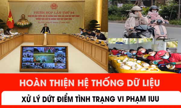 Hoàn thiện hệ thống dữ liệu, xử lý dứt điểm tình trạng vi phạm IUU