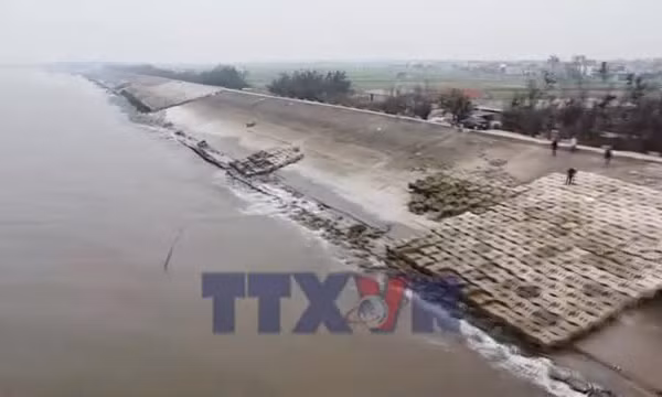 Khắc phục sự cố trên tuyến đê biển Hải Thịnh