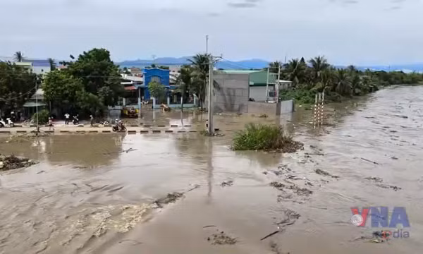Khánh Hòa khẩn trương triển khai các biện pháp ứng cứu, hỗ trợ người dân