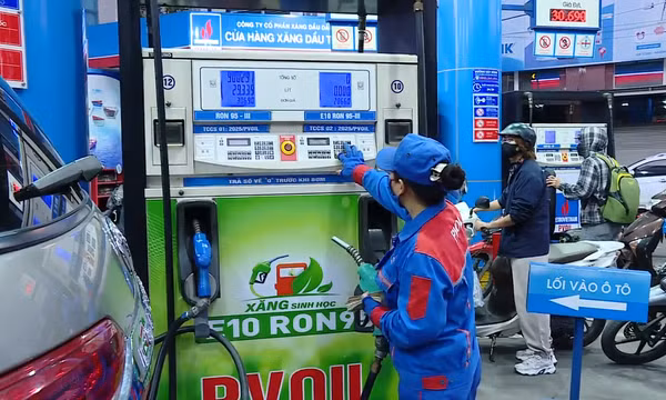 Học Bác mỗi ngày: Vì một Việt Nam xanh và bền vững
