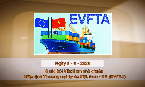 Khoảnh khắc và Sự kiện ngày 8/6