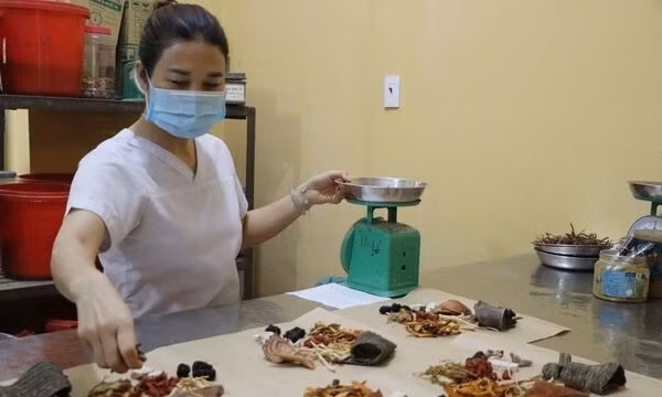 Học Bác mỗi ngày: Phát triển y học cổ truyền, chăm sóc sức khỏe nhân dân tốt hơn trong giai đoạn mới