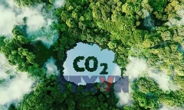 Siết quản lý hạn ngạch và tín chỉ carbon
