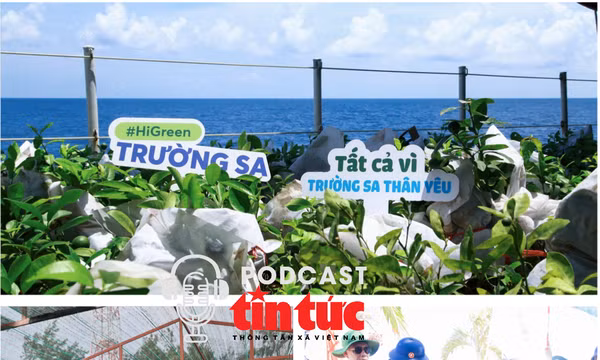 Mầm xanh từ đất liền, sức sống ở Trường Sa: Gửi niềm tin xanh 