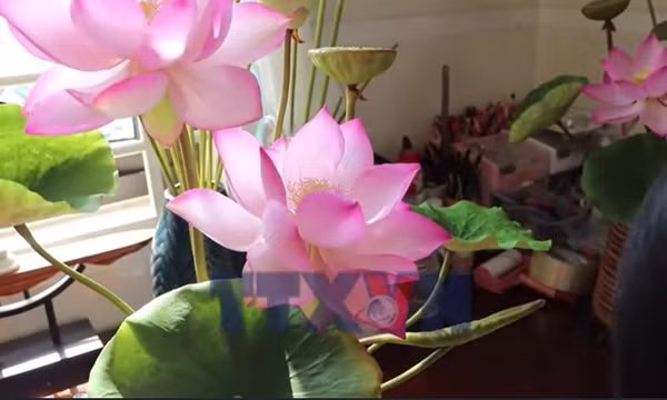 Hoa sen đất sét lên ngôi trong mùa Tết đô thị