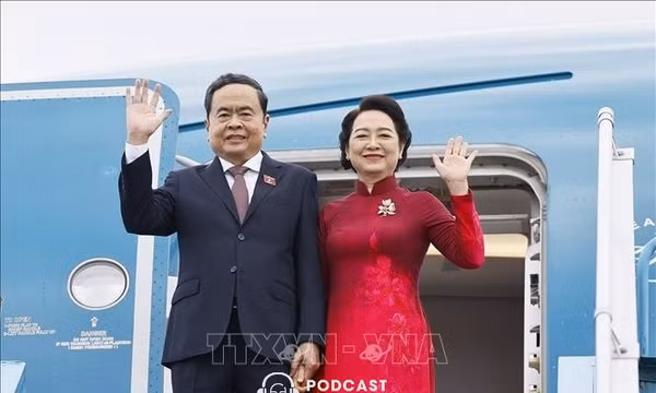 Tin nóng trong nước ngày 6/9/2026