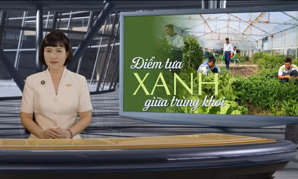 Trường Sa: Điểm tựa xanh giữa trùng khơi 